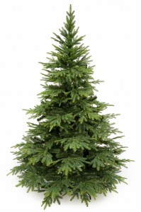Kaukasus-Fichte 250 cm PE+PVC – künstlicher Weihnachtsbaum