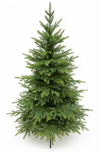 Kaukasus-Fichte 160 cm PE+PVC – künstlicher Weihnachtsbaum