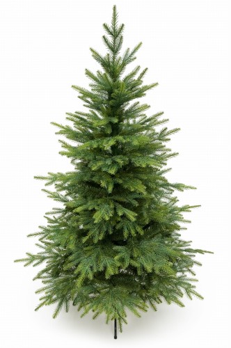 Kaukasus-Fichte 160 cm PE+PVC – künstlicher Weihnachtsbaum