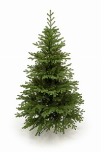 Tiroler Fichte 170 cm PE+PVC – künstlicher Weihnachtsbaum