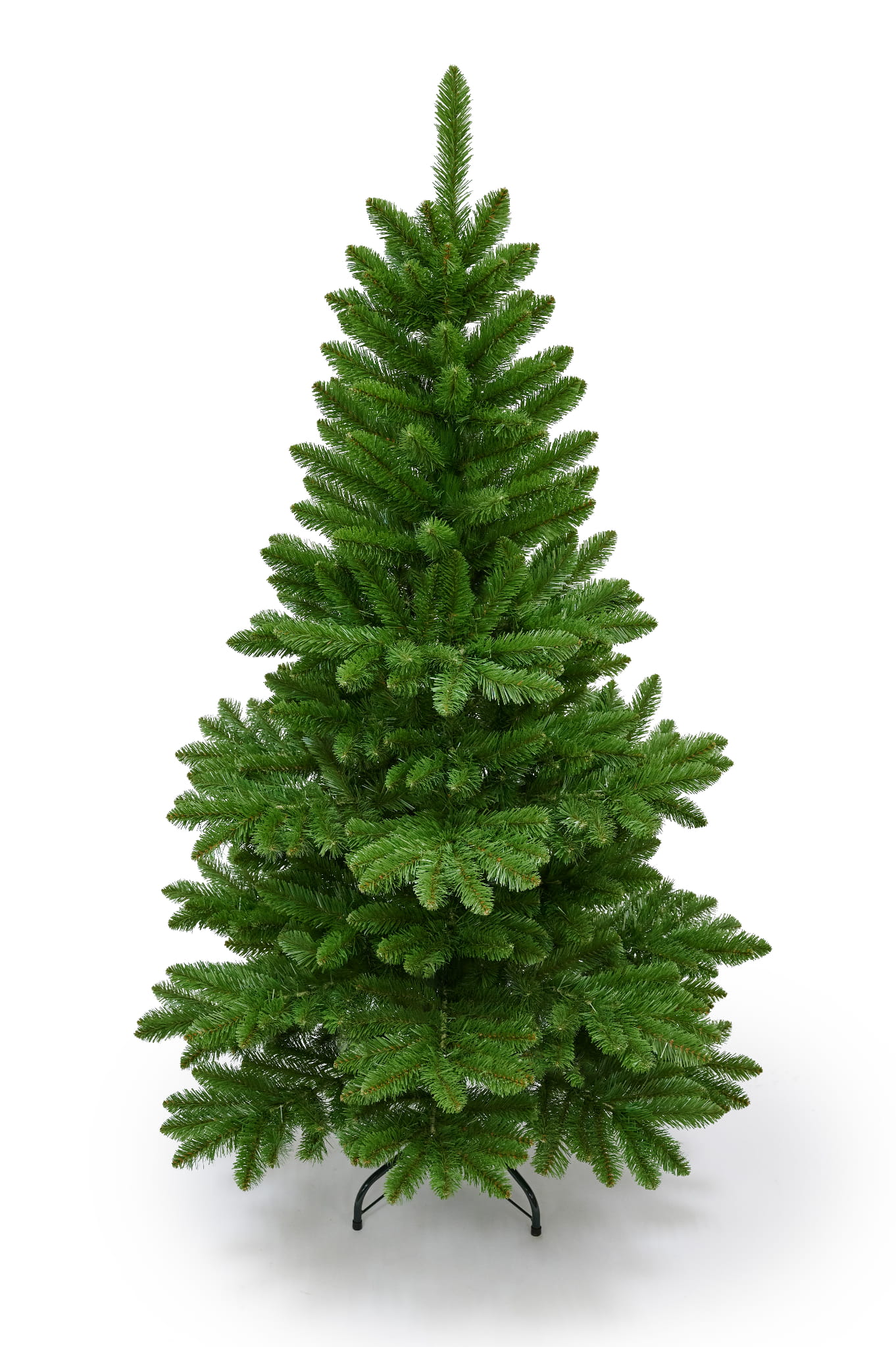 4865.jpg