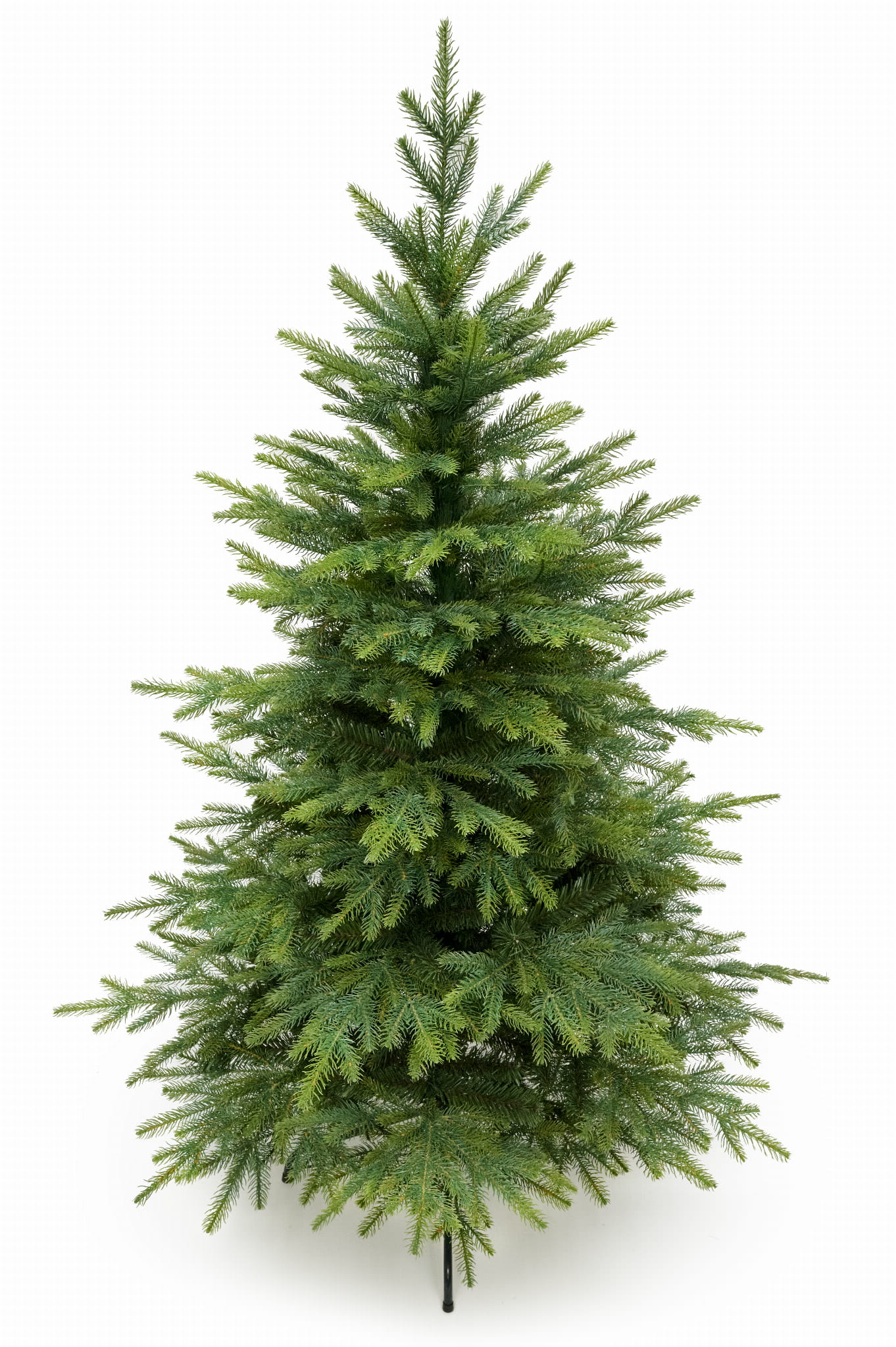 5269.jpg