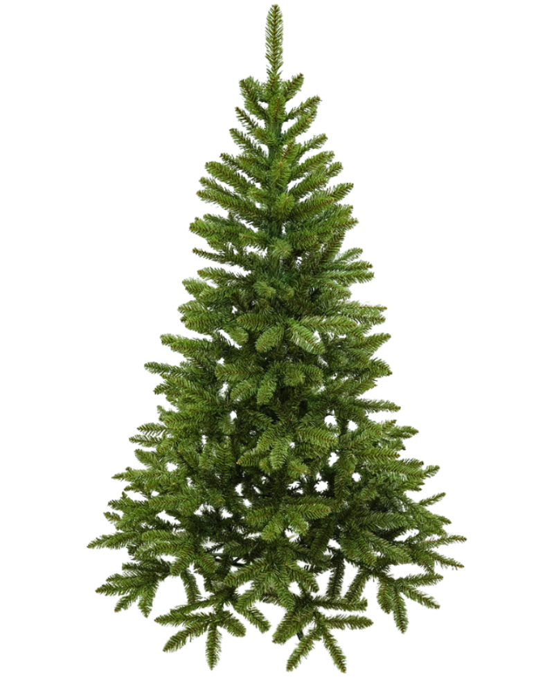 4507.png